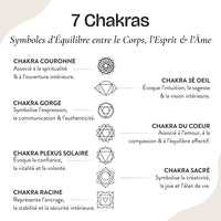 Serenity Orgonite "7 Chakras" 5