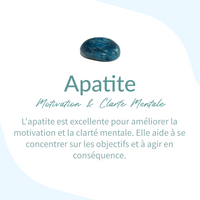 "Protective Eye & Inner Serenity" Necklace in Amazonite & Apatite 6